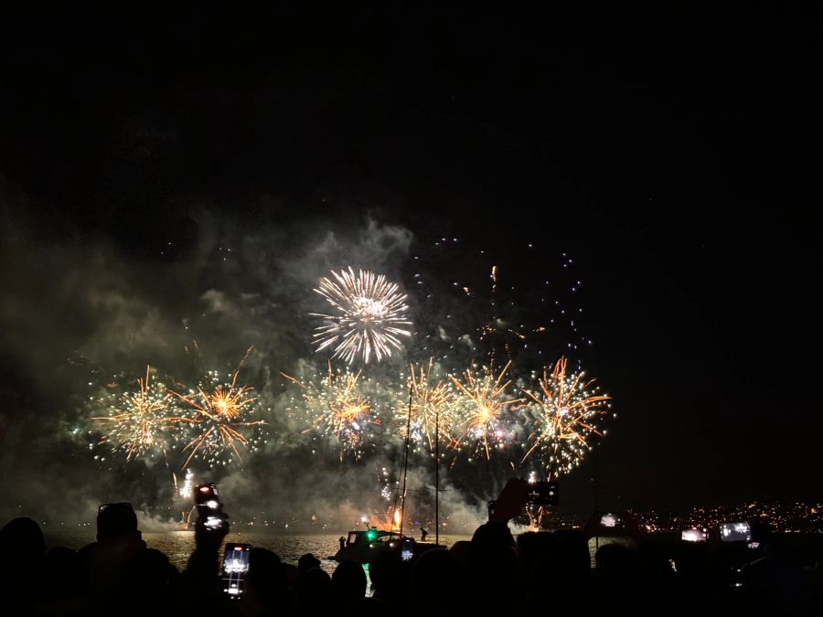 Das Feuerwerk in Zürich begeisterte die Massen - die Nacht bringt aber jeweils auch viel Arbeit für die Polizei.