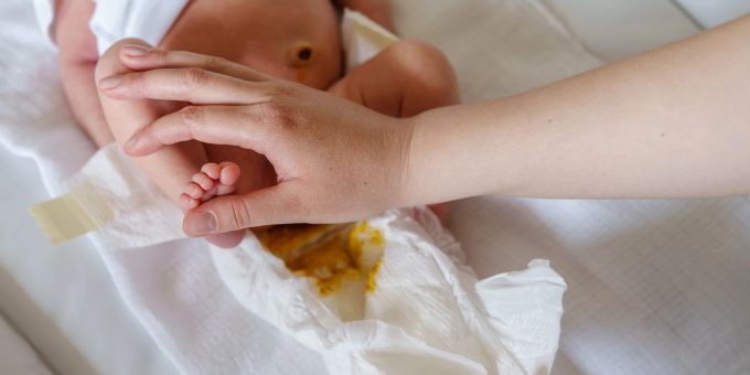 Babykacka kann grün sein. Babykacka