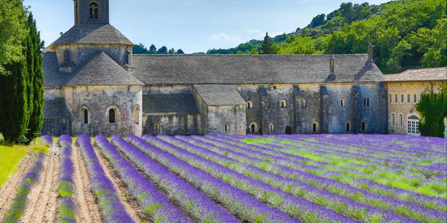 Die Provence lockt mit lila Lavendelfeldern und alten Schlössern.