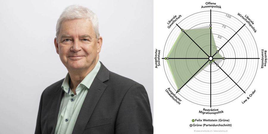 Smartspider Felix Wettstein Grüne