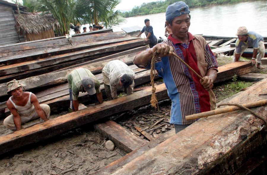 Lokale Angestellte schiffen gespaltenes Urwaldholz auf der indonesischen Insel Halmahera ein.