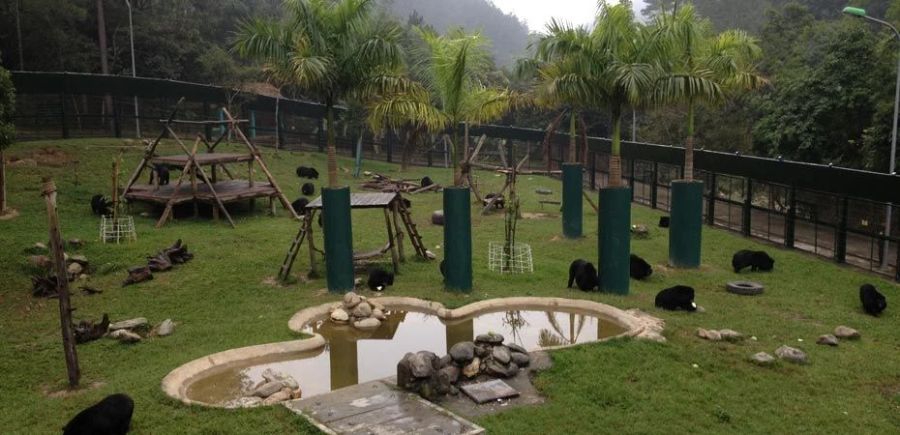 Das Bärenrettungszentrum von Animals Asia in Vietnam.