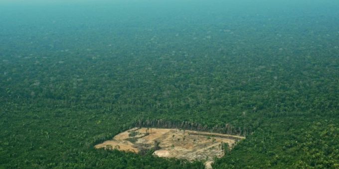 Luftbild einer abgeholzten Regenwaldfläche in Brasilien Luftbild einer abgeholzten Regenwaldfläche in Brasilien