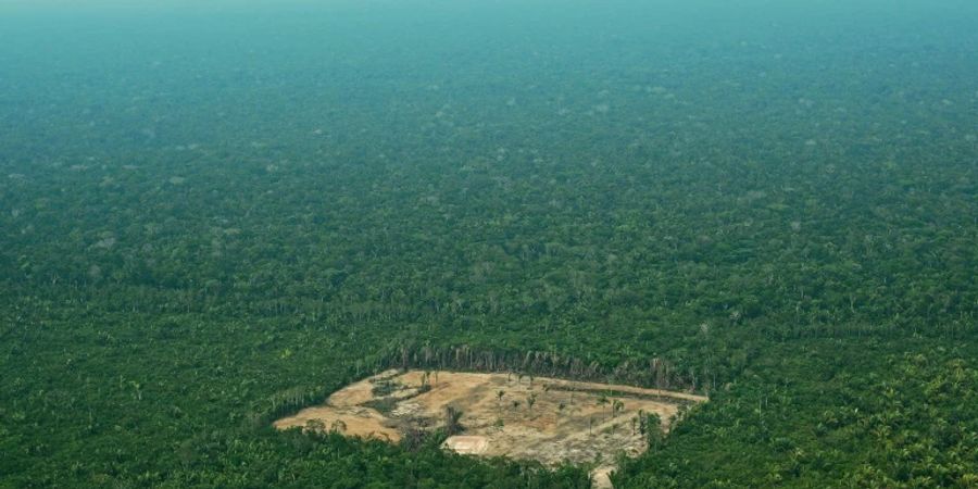 Luftbild einer abgeholzten Regenwaldfläche in Brasilien