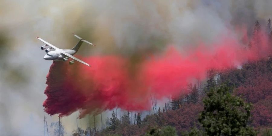 Waldbrand im Mariposa County