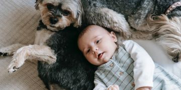 Säugling Hund Decke Bett