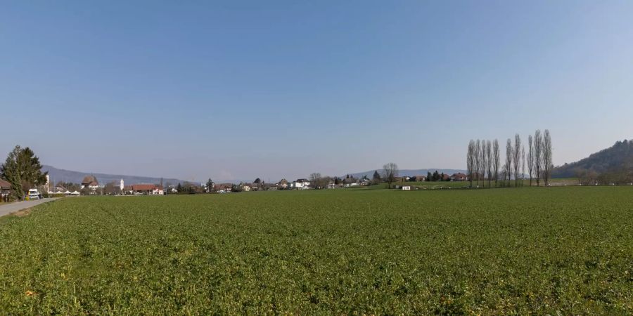 Die Gemeinde Schafisheim im Kanton Aargau.