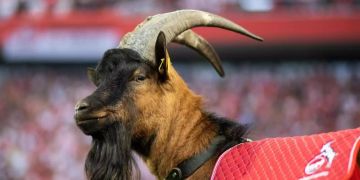 1. FC Köln Hennes