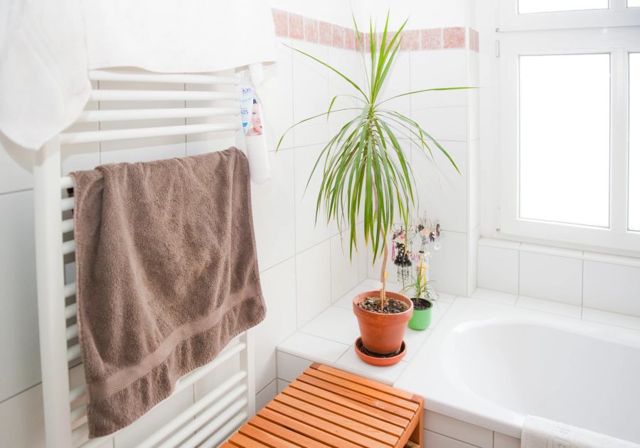 Badezimmer Heizung Badewanne Drachenbaum