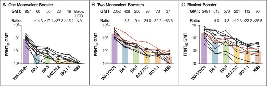 XBB.1.5 Coronavirus Impfung