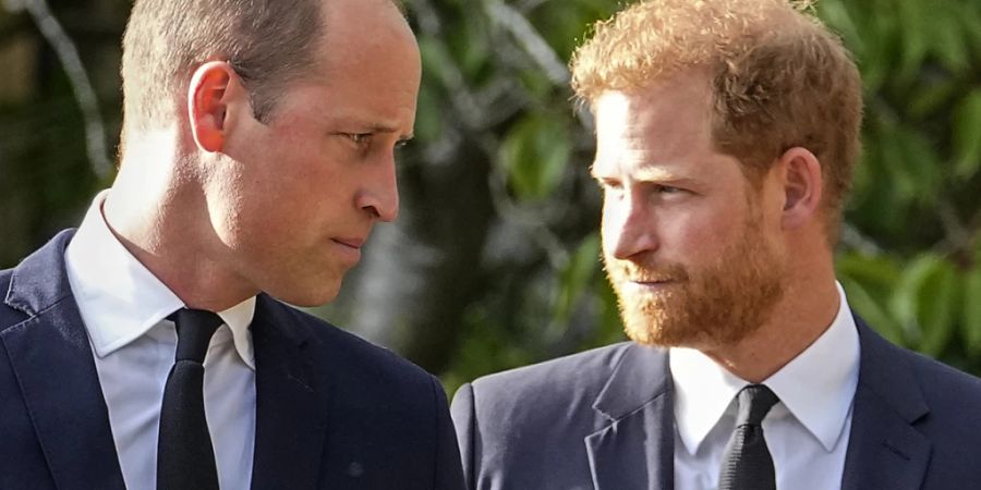 Seitdem sich Prinz Harry (r) vom britischen Königshaus gelöst hat, ist das Verhältnis zwischen ihm und seinem Bruder, Prinz William, sehr schlecht.