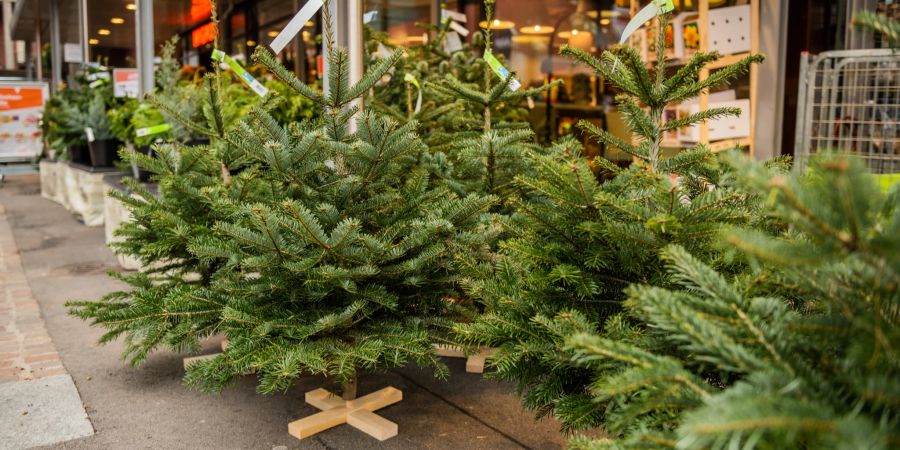 Weihnachtsbaum Verkauf. (Symbolbild)