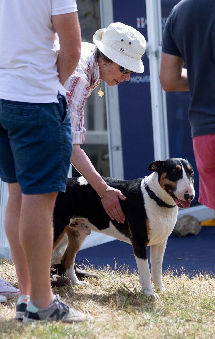 Prinzessin Anne mit einem ihrer Bullterrier.