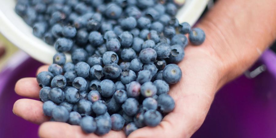 Die Hand als Masseinheit: Um eine Portion Obst zu definieren, braucht es gar keine Küchenwaage.