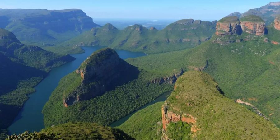 Das britische dschungelcamp zieht es wieder nach Australien.