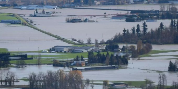 Überschwemmungen bei Abbotsford in British Columbia. Das Unwetter forderte das Leben mehrerer Nutztiere in der Region. Unwetter