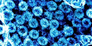 coronavirus