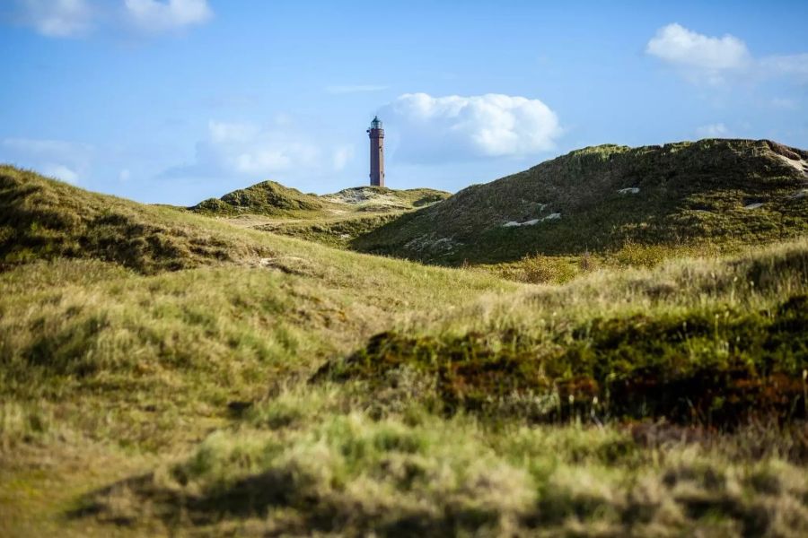 norderney landschaft