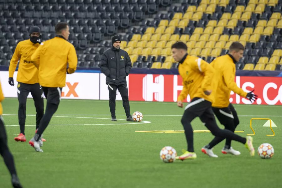 David Wagner YB Training