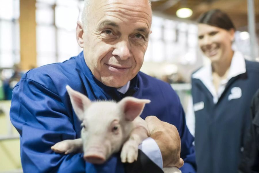 Ueli Maurer posiert im Jahr 2013 mit dem Schweinchen.