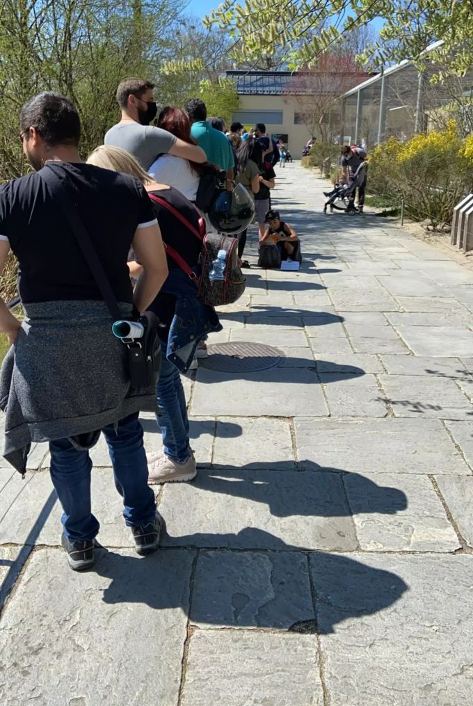Langes Warten vor dem Tierpark in Bern. Coronavirus