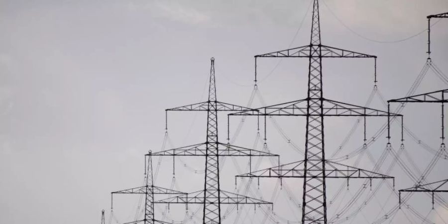 Im vergangenen Jahr konnten gut 6100 Gigawattstunden Strom aus erneuerbaren Energien nicht genutzt werden - das waren etwa 3 Prozent der gesamten erneuerbaren Erzeugung in Deutschland. Foto: Nicolas Armer/dpa