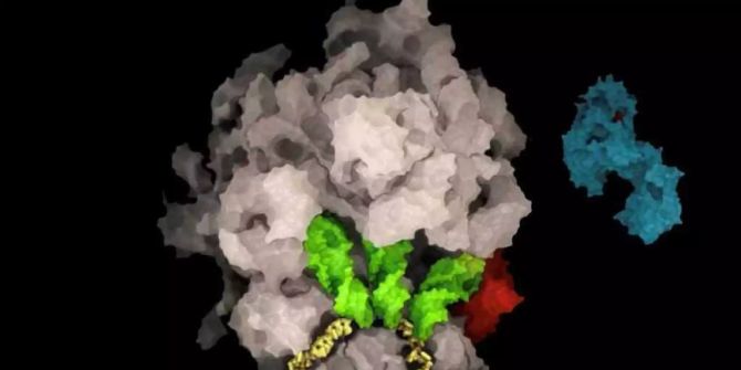 RNA