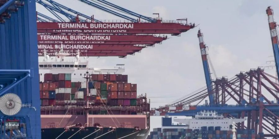 Containerschiffe werden am Terminal Burchardkai und am Eurogate in Hamburg entladen. (Archivbild). Foto: Axel Heimken/dpa