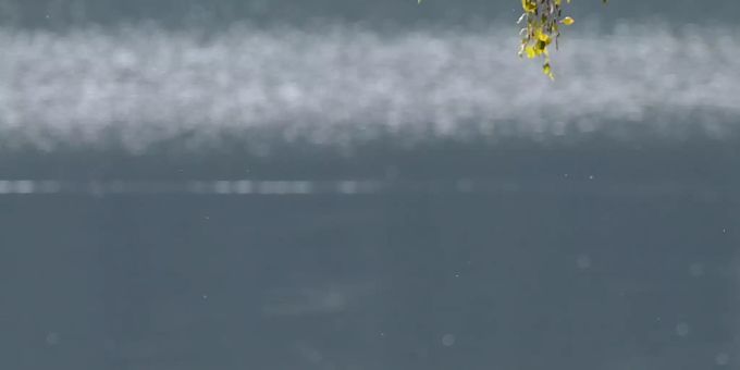 Wasser in einem See. wasser see