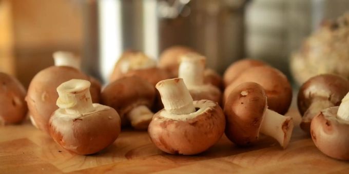 Champignons eignen sich gut für eine herbstliche Suppe. Champignons