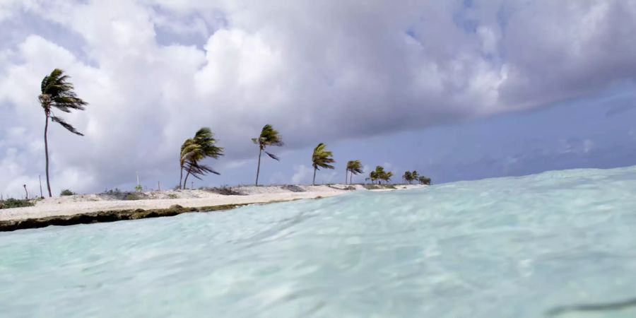 Bonaire Fifa