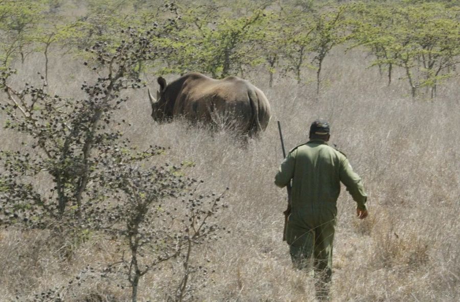 wwf afrika