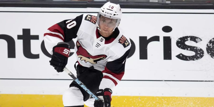 Arizona Coyotes