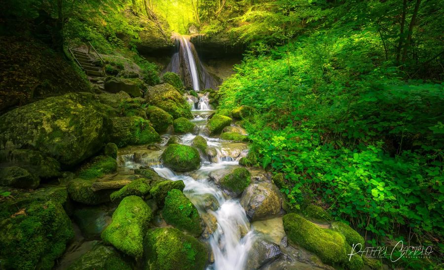 Bach im Wald