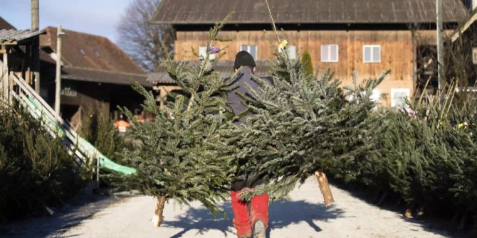 Weihnachtsbaum