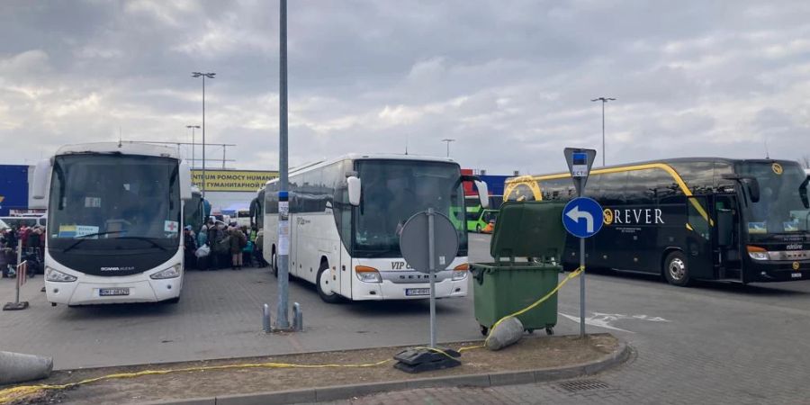 Der YB-Car neben zwei weiteren Bussen in Przemyśl.