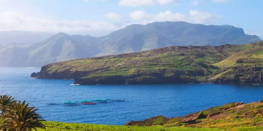 Die portugiesische Insel Madeira hat einiges zu bieten - auch im Winter.