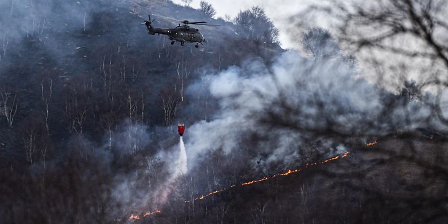 In den Hügeln am Monte Gambarogno TI am Lago Maggiore loderten während rund zwei Wochen die Flammen. (Archivbild)