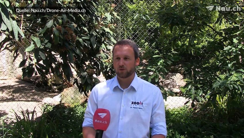 interview-mit-pascal-marty