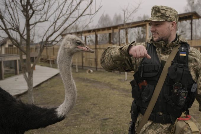 Tiere Ukraine Krieg