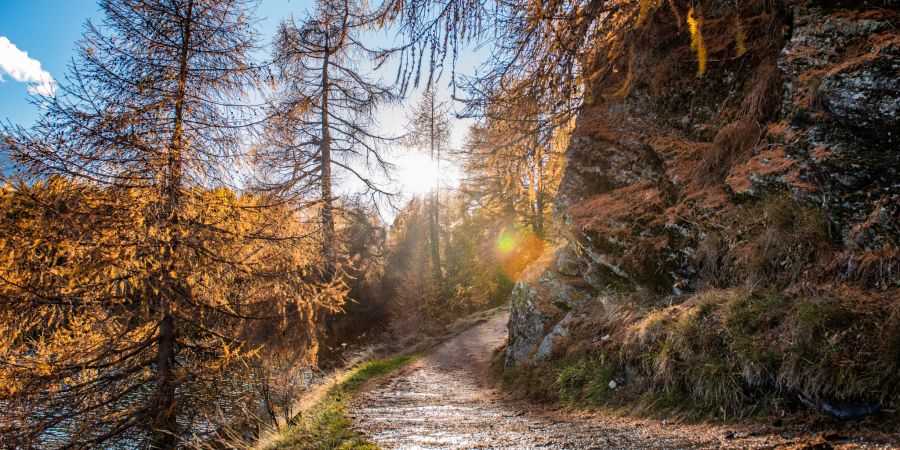 herbst
