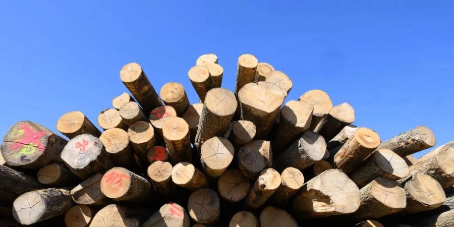Holz.