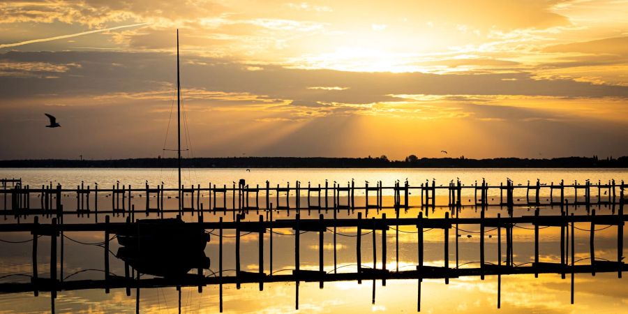 Die Sonne geht über dem Steinhuder Meer in der Region Hannover auf.