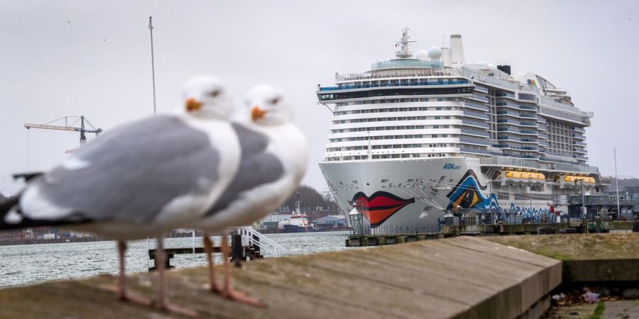 Möwen Hafen Schiff Wasser