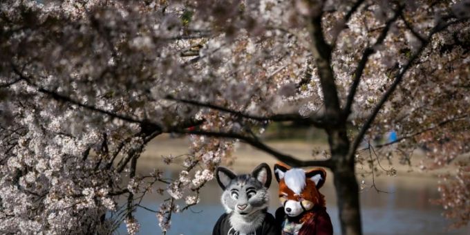 Echte «Furries» in den USA Echte «Furries» in den USA