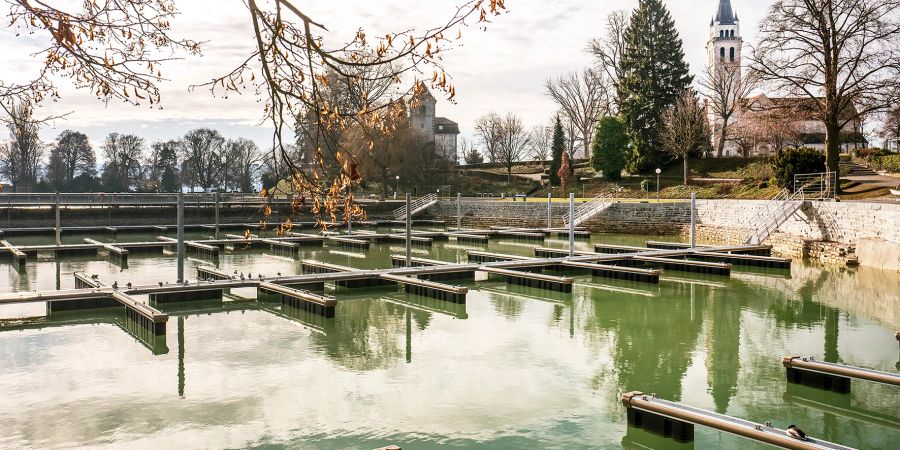 Die neue Steganlage im Inselihafen Romanshorn.