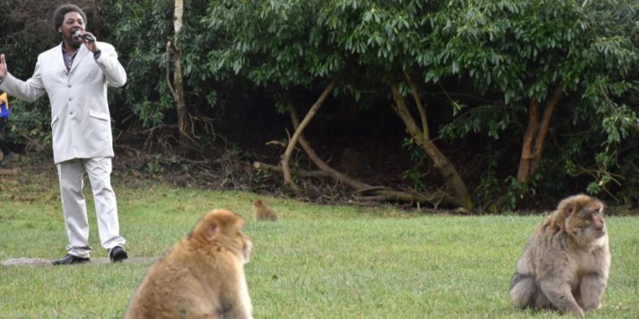 Trentham Monkey Forest