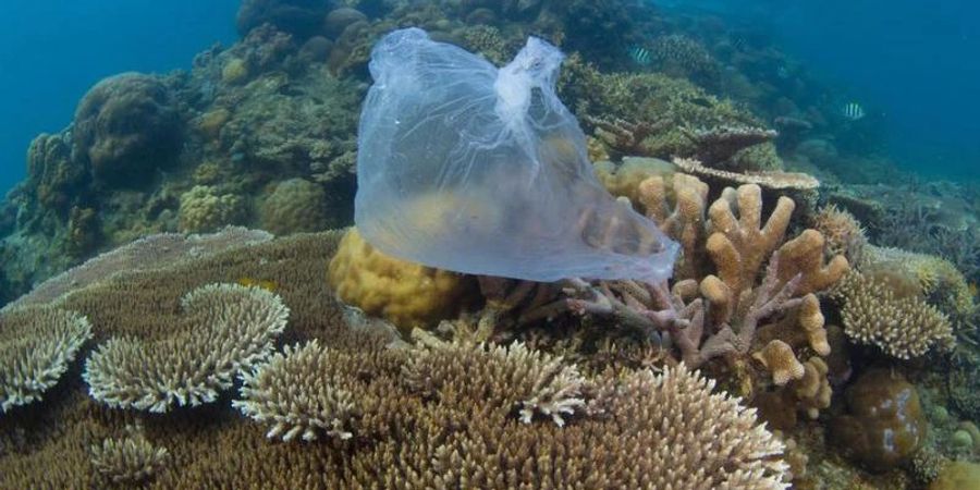 Eine Plastiktüte auf einem Korallenriff in Malaysia. Foto: WWF/dpa