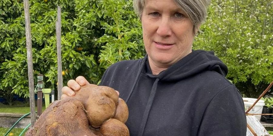 Donna Craig-Brown hält «Dug» (zunächst hiess sie "Doug"), die vermeintlich grösste Kartoffel der Welt, im Garten ihrer kleinen Farm hoch. Foto: Colin Craig-Brown/Colin Craig-Brown/AP/dpa
