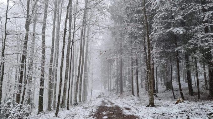 Schwarzenburg Schnee